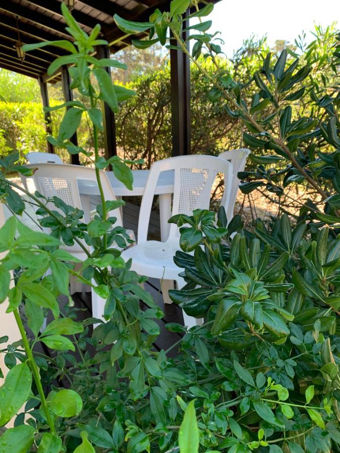 Cabanas Del Este Sauce de Portezuelo Εξωτερικό φωτογραφία